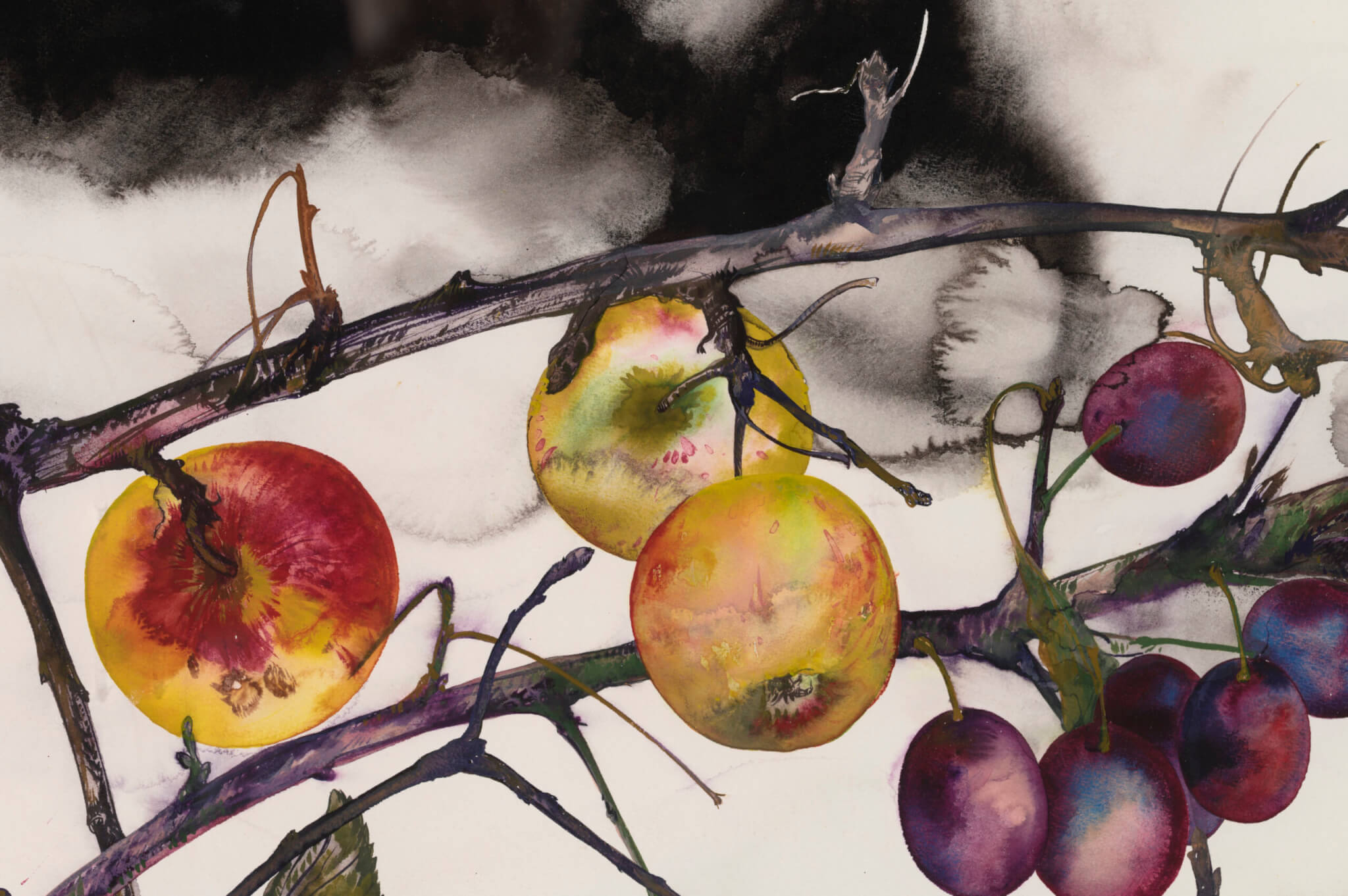 Malle Leis “Õunad ja ploomid” 1993. 51,5 x 73