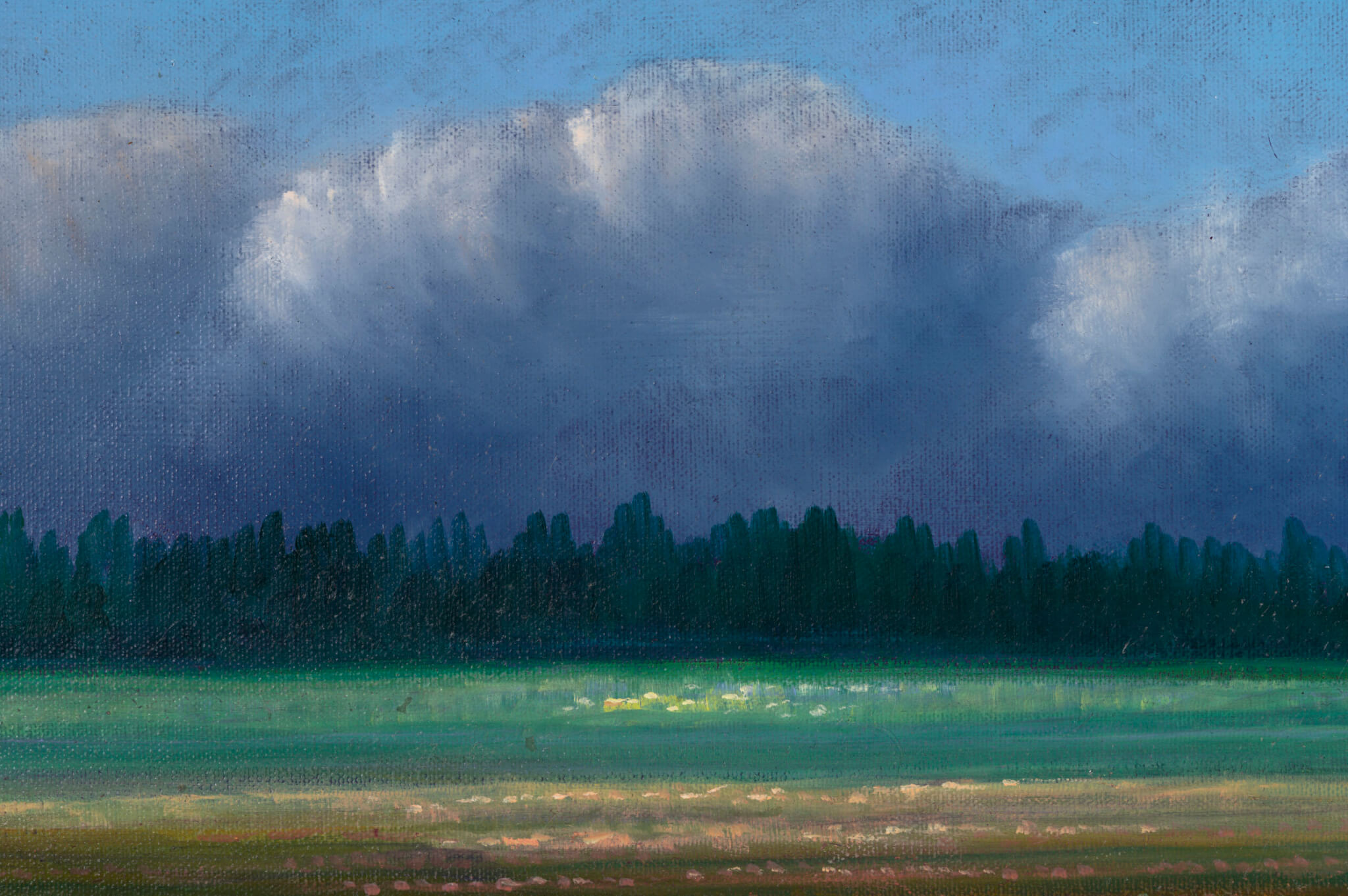 Toomas Vint “Vihmahoogude vahel” 2006. 65 x 81