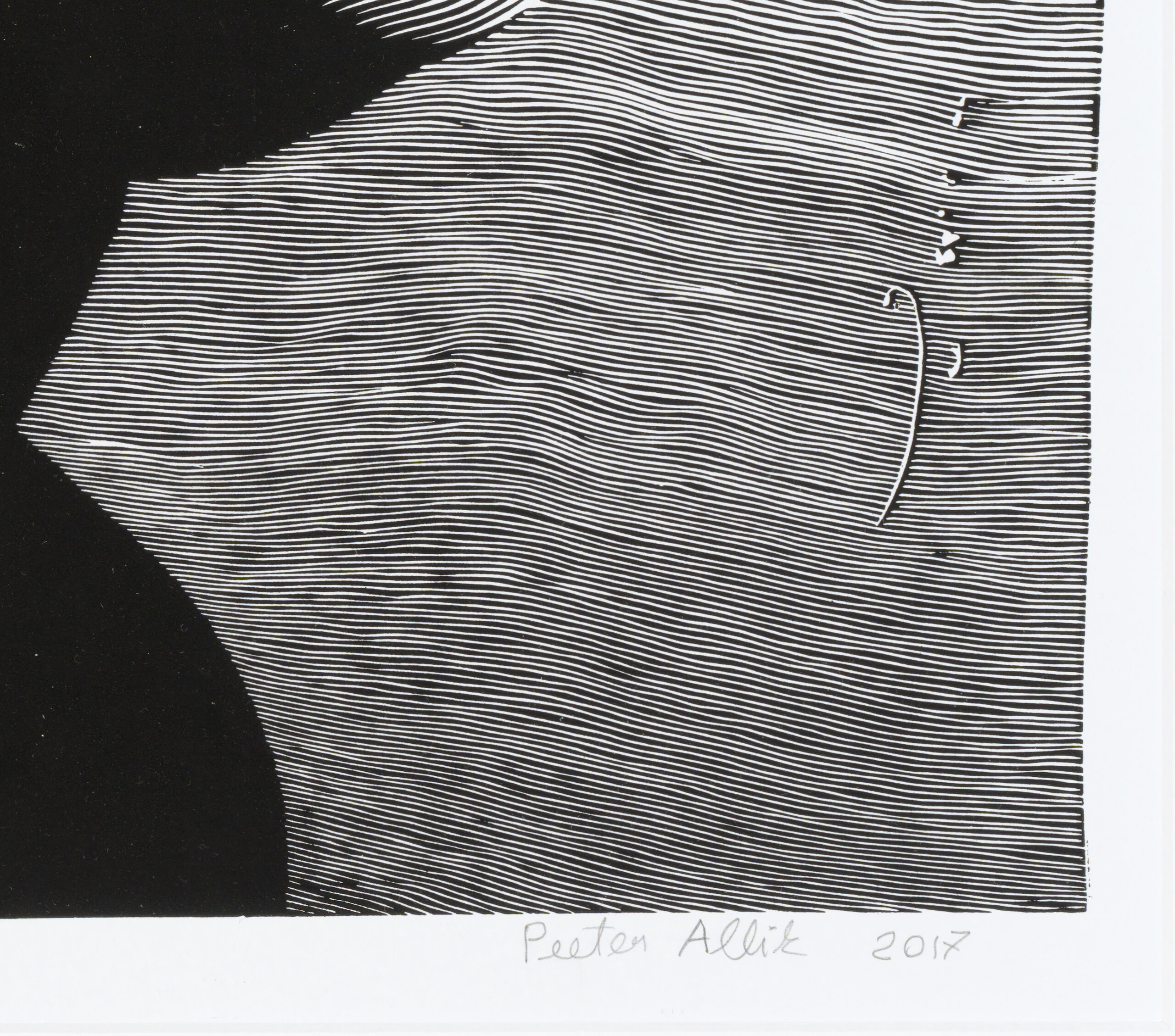 Peeter Allik “Medusa pea”, 2017. Plm 52 x 67 cm.
