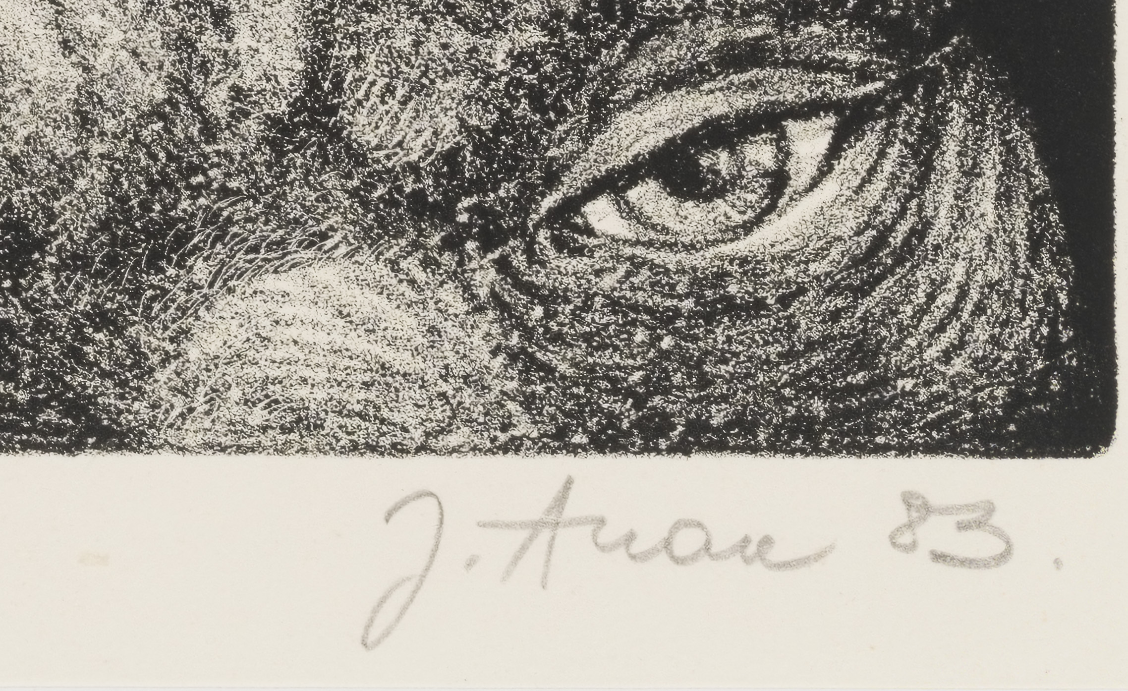 Jüri Arrak “Maskis lind” 1983. 42 x 33 cm.