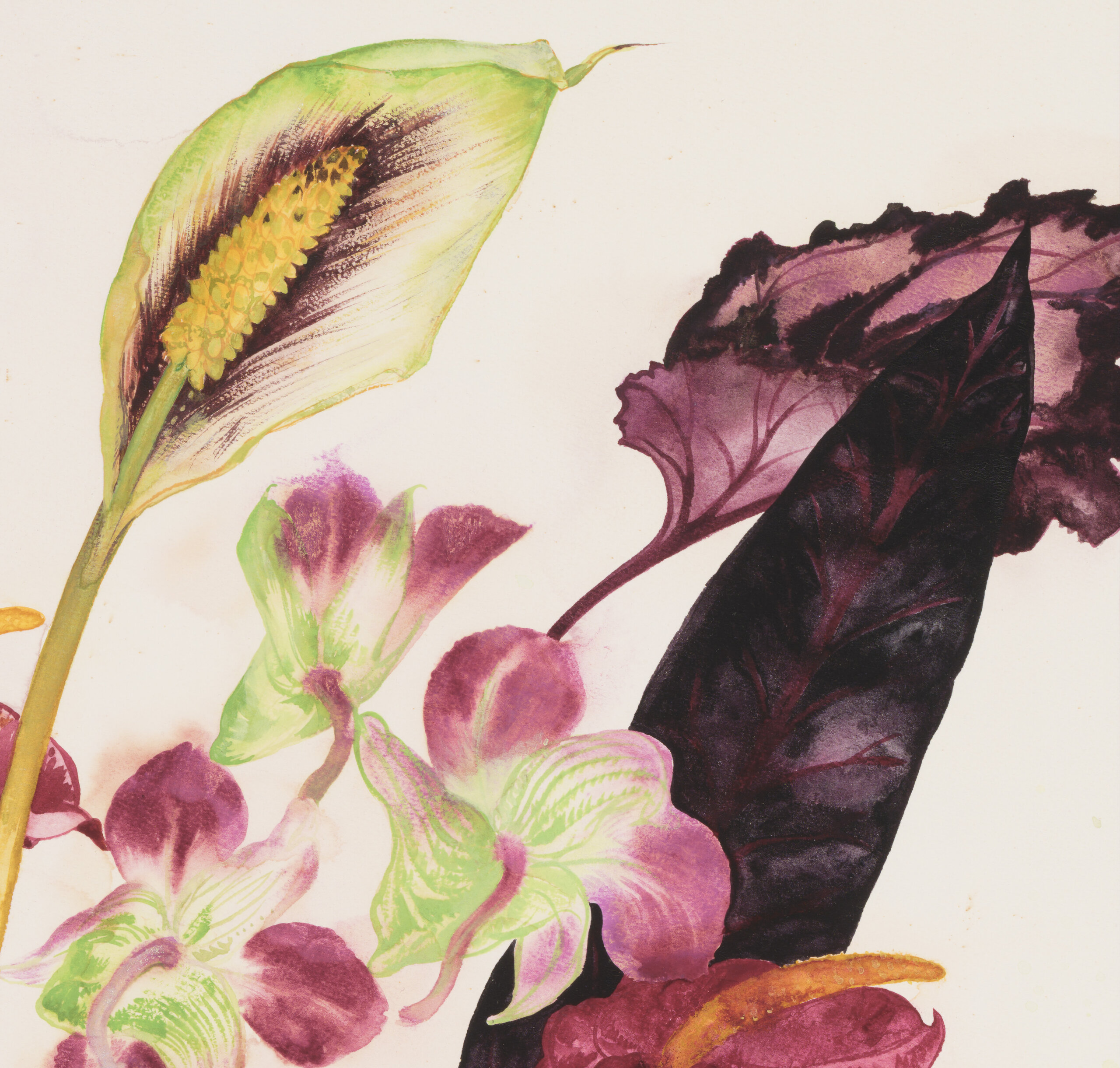 Malle Leis “Orhideed ja flamingolilled”, 1991. 52,5 x 72 cm.