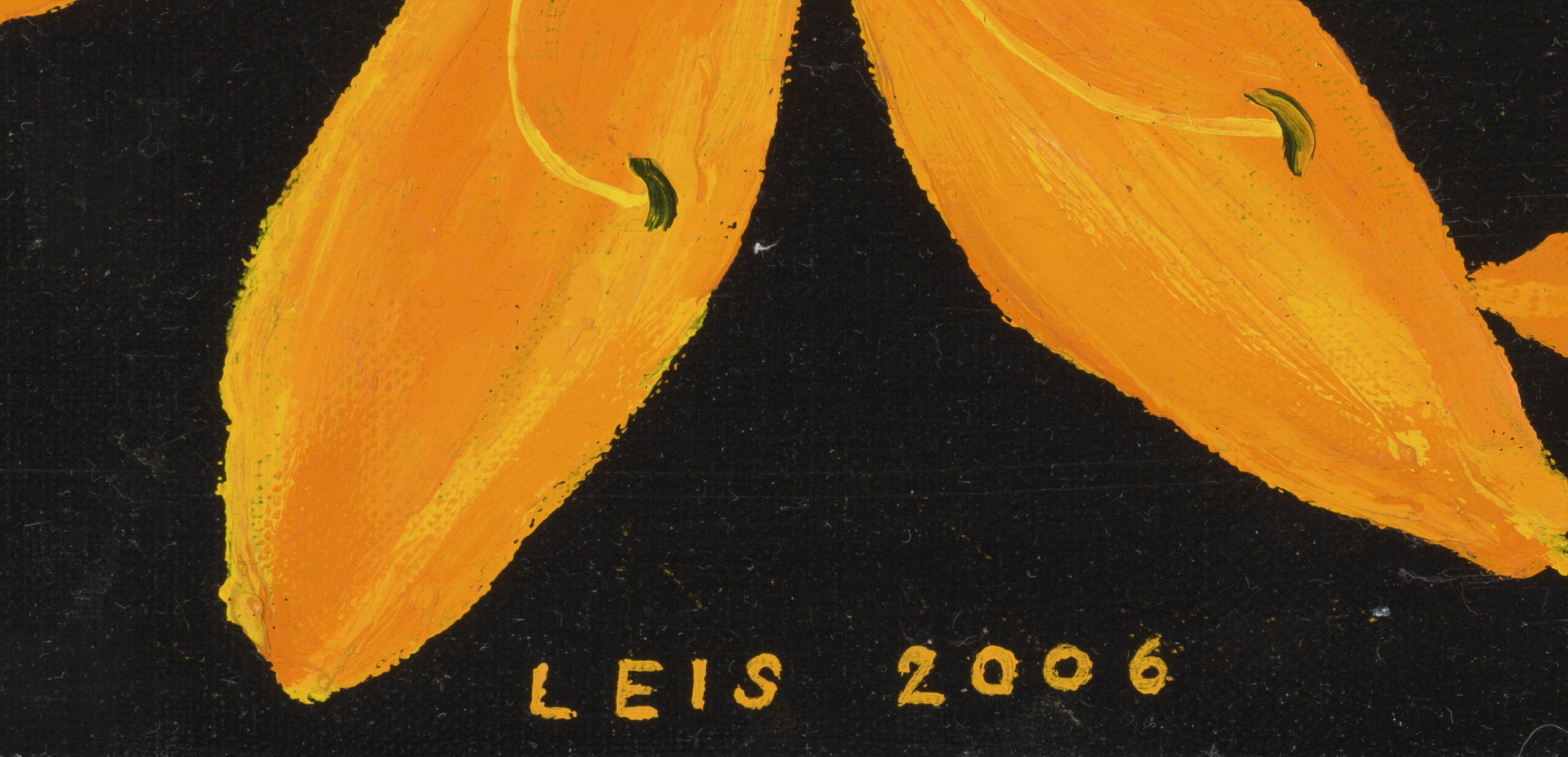 Malle Leis “Leekivad liiliad”, 2006. 26 x 100,2 cm.