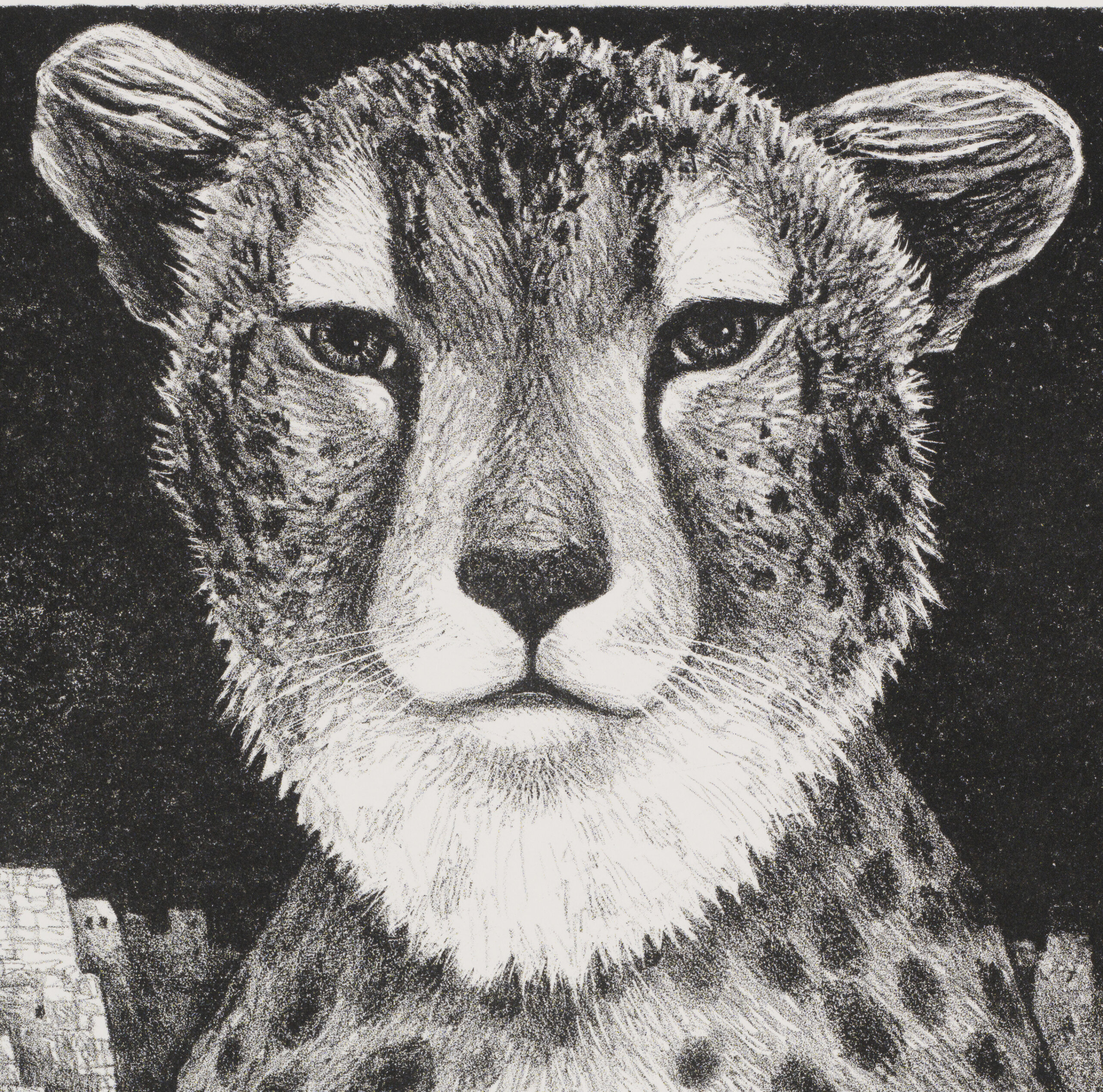 Jüri Arrak “Gepard”, 1985. Plm 32,5 x 41,5 cm.