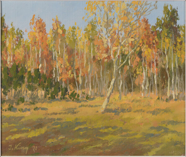 Ilmar Kimm