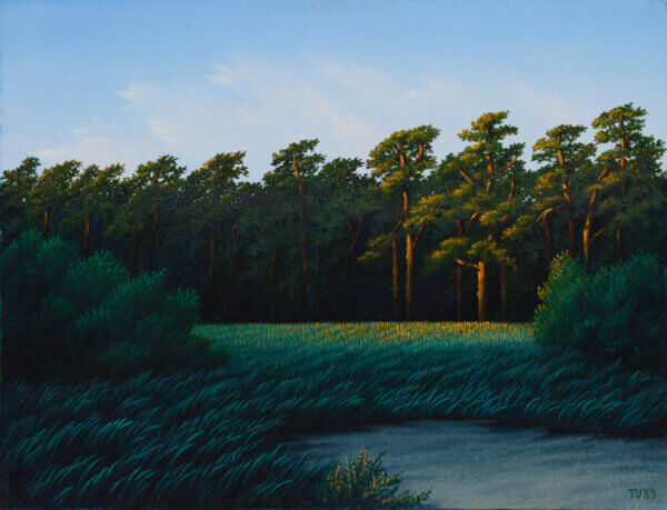 Toomas Vint