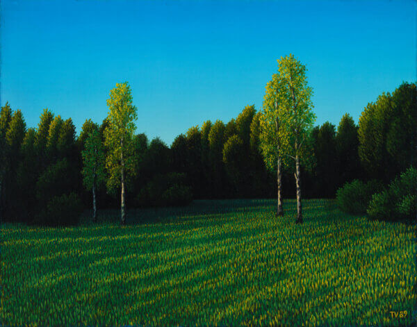 Toomas Vint