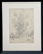 Johannes Võerahansu