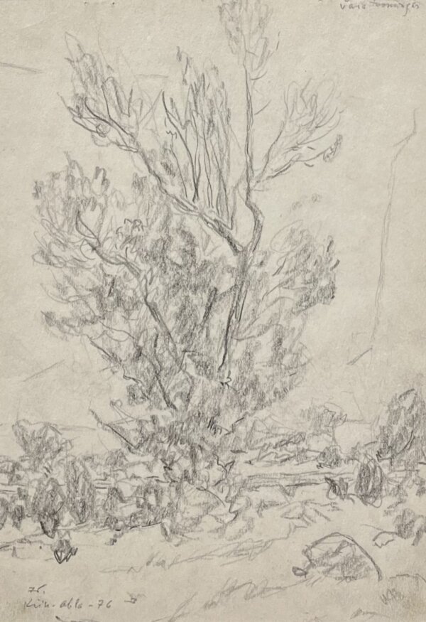 Johannes Võerahansu