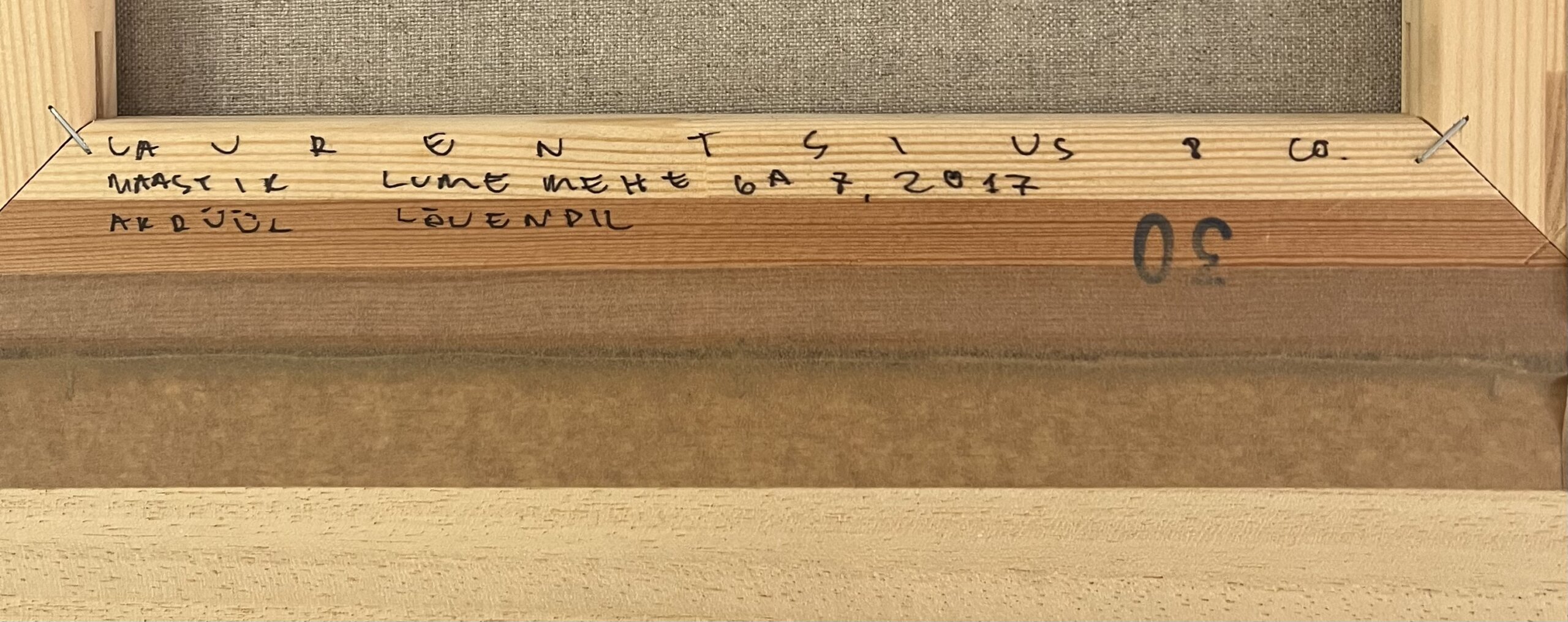 laurentsius-maastik-lumemehega-7-allee-galerii