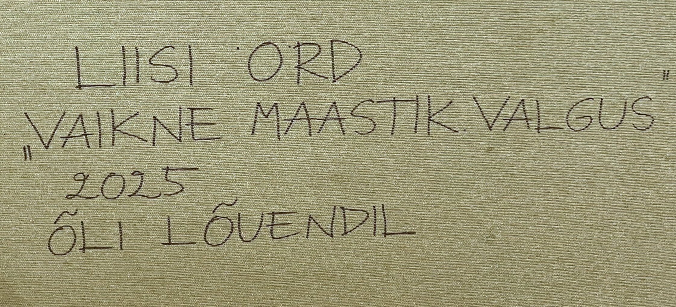 Liisi Örd “Vaikne maastik. Valgus”