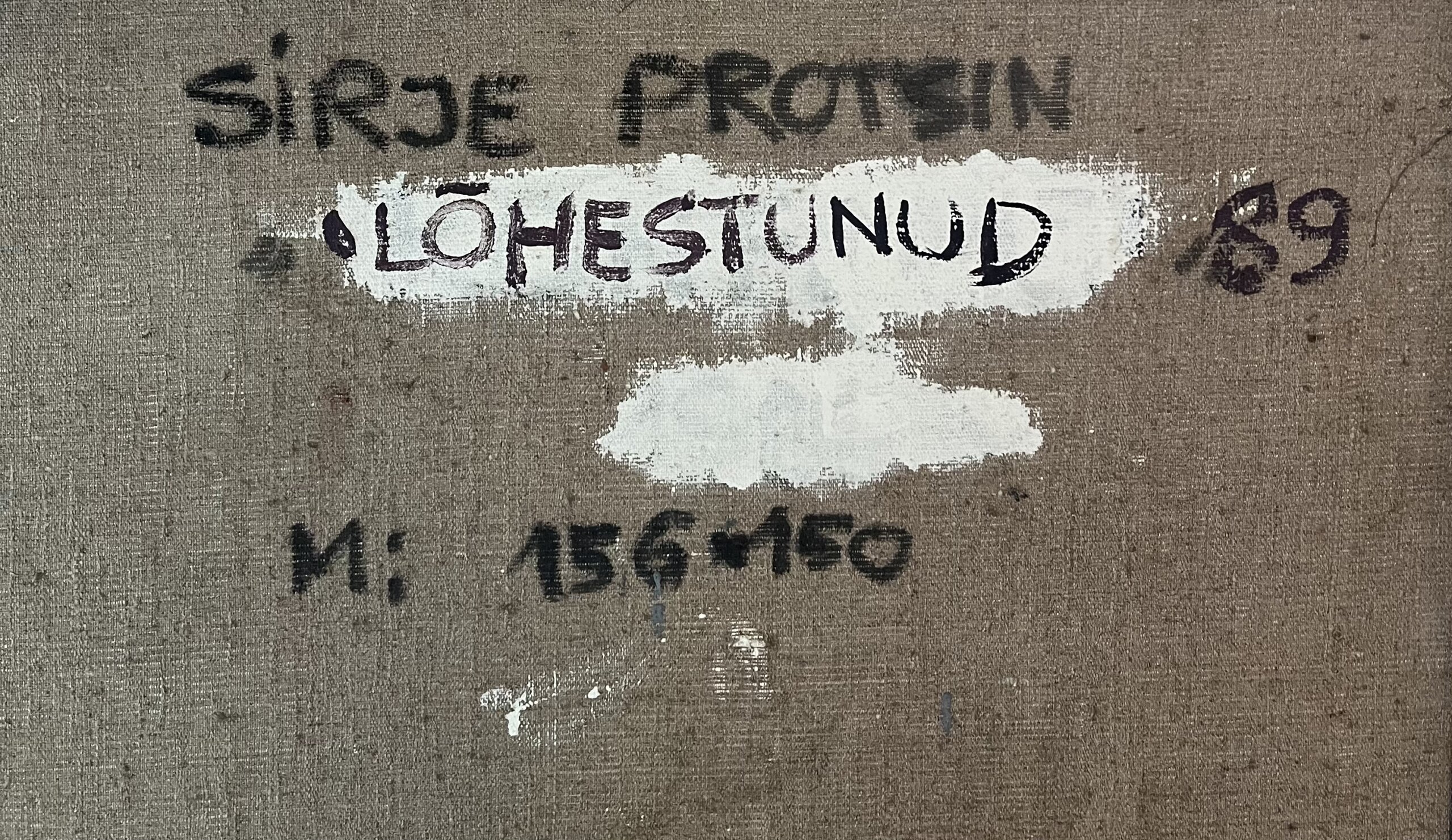 Sirje Protsin “Lõhestunud”