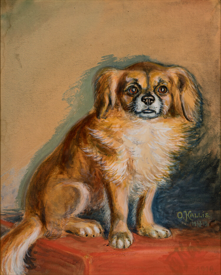 Oskar Kallis