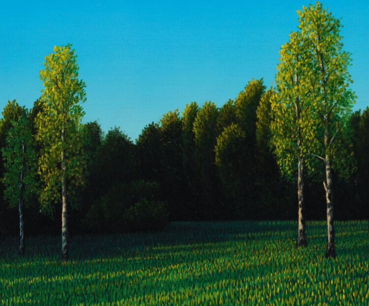 toomas-vint-suvemaastik-allee-galerii