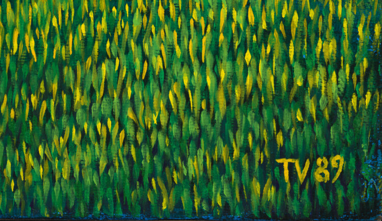 toomas-vint-suvemaastik-allee-galerii