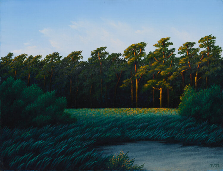Toomas Vint
