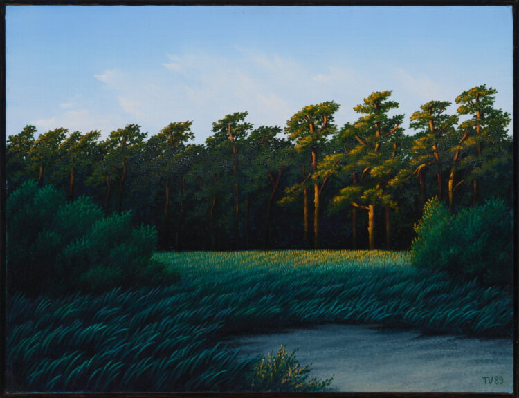 Toomas Vint