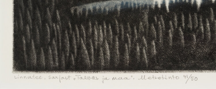 kaljo-pollu-linnutee-allee-galerii