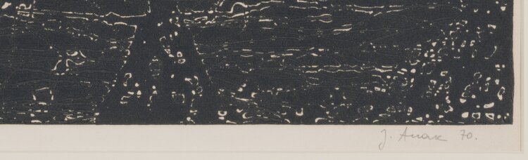 Jüri Arrak “Sissevaataja”