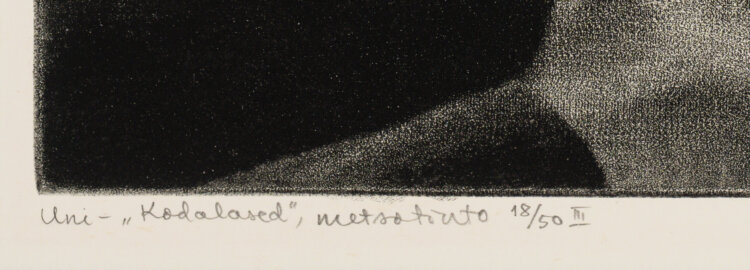 kaljo-pollu-uni-allee-galerii