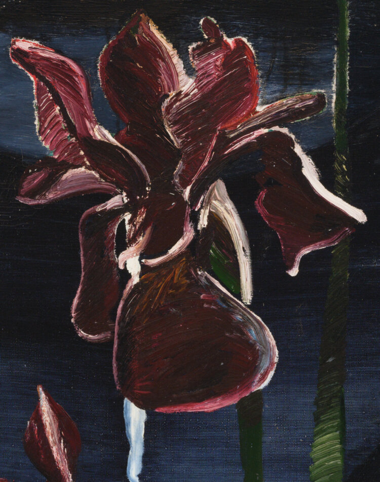 Valdur Ohakas “Iirised kuuvalgel ööl”