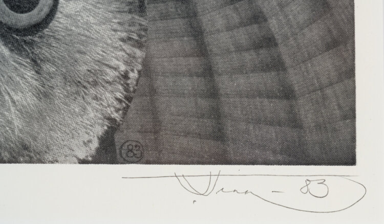 Vello Vinn “Keskkond III”