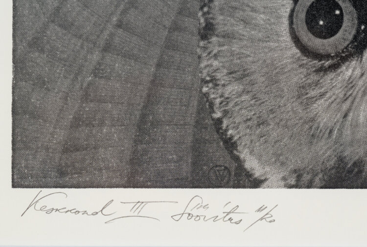 Vello Vinn “Keskkond III”