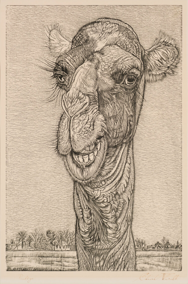 Eduard Wiiralt Kaameli pea