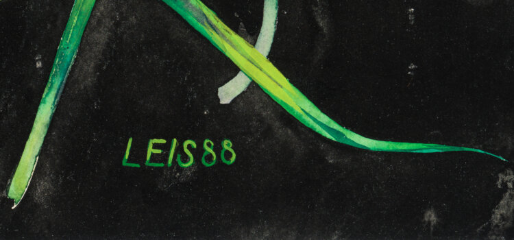 Malle Leis “Võrumaa. Südasuvi”