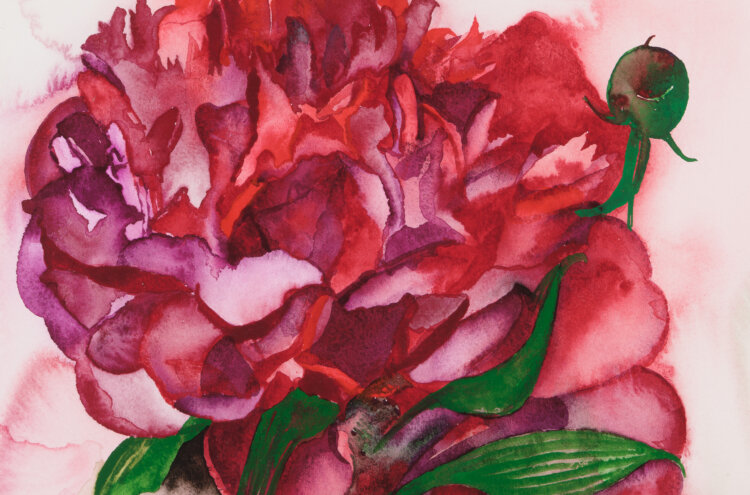 malle-leis-pojengid-allee-galerii