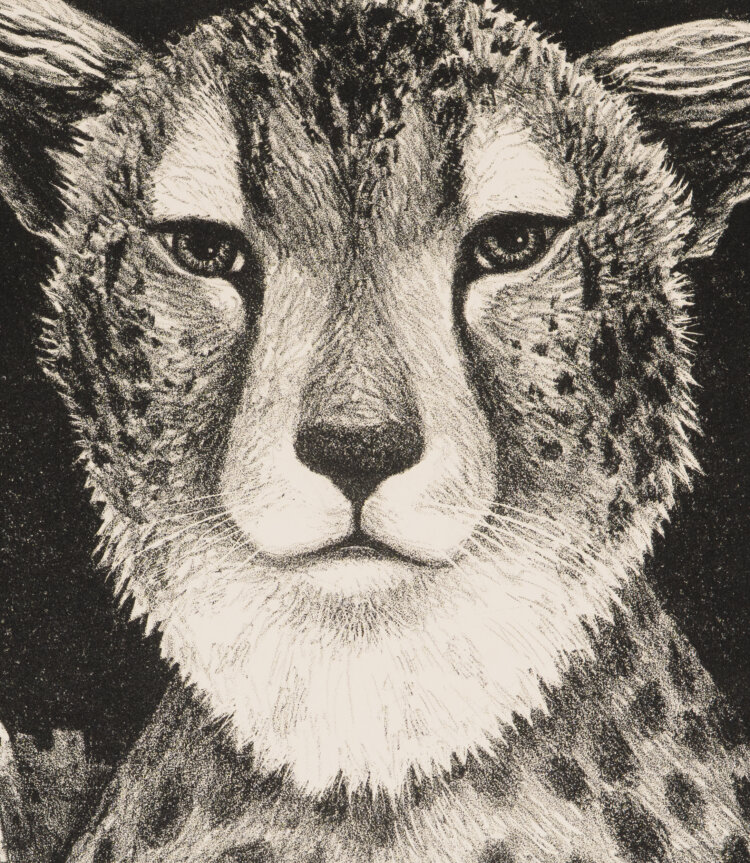 Jüri Arrak “Gepard”