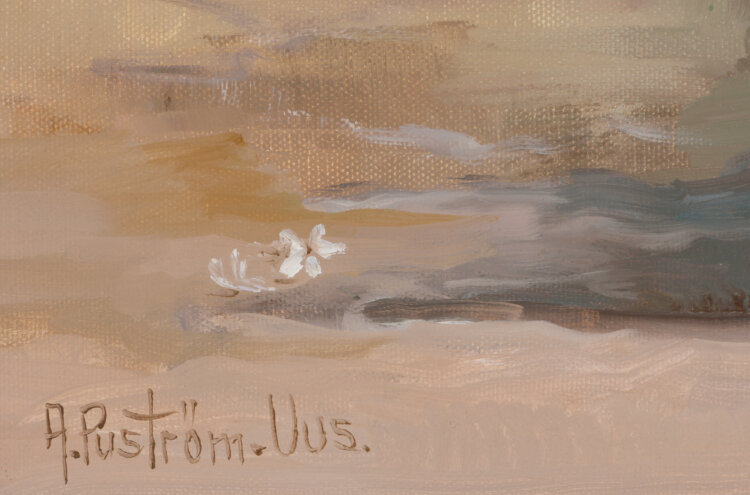 Arville Puström-Uus “Õhus on armastust”