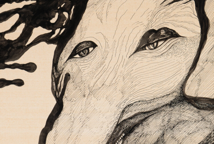 juri-arrak-boss-allee-galerii