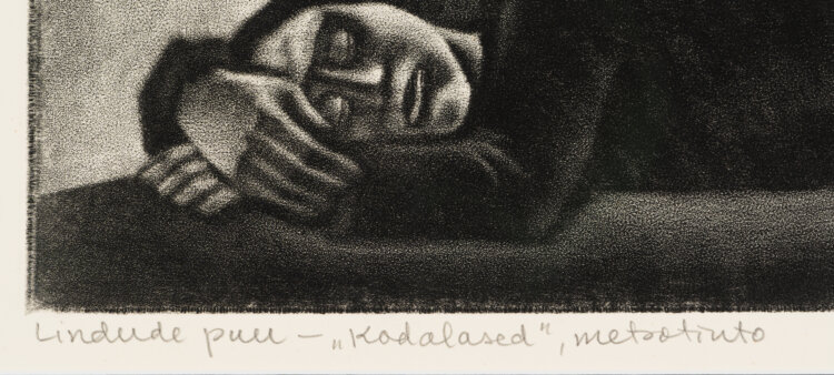 Kaljo Põllu “Lindude puu”