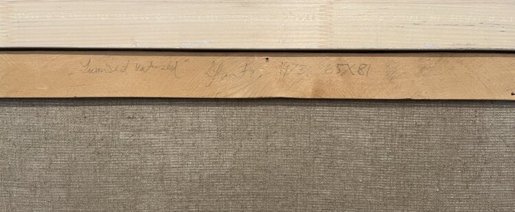 Lembit Saarts “Lumised katused”