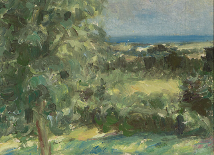 aleksander-vardi-suvi-allee-galerii