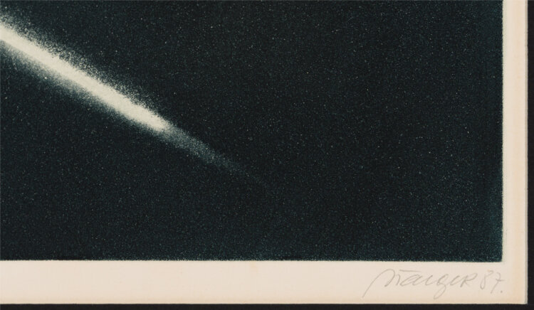 Vladimir Taiger “Äikese eel”