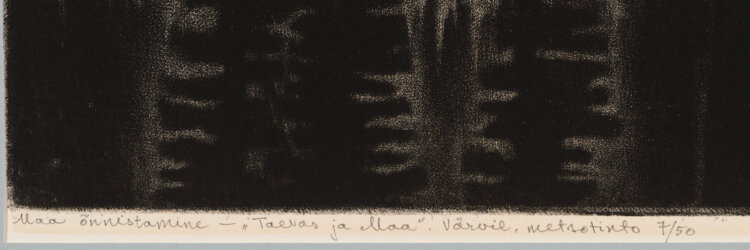 kaljo-pollu-maa-onnistamine-allee-galerii