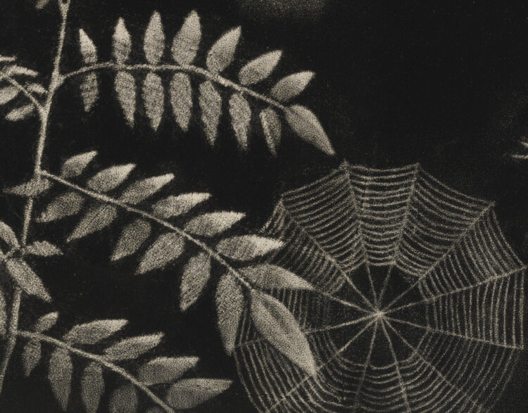 Kaljo Põllu “Eesti maastik”